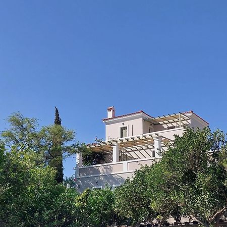 Saint Louis Aparthotel Andros Town Exterior photo