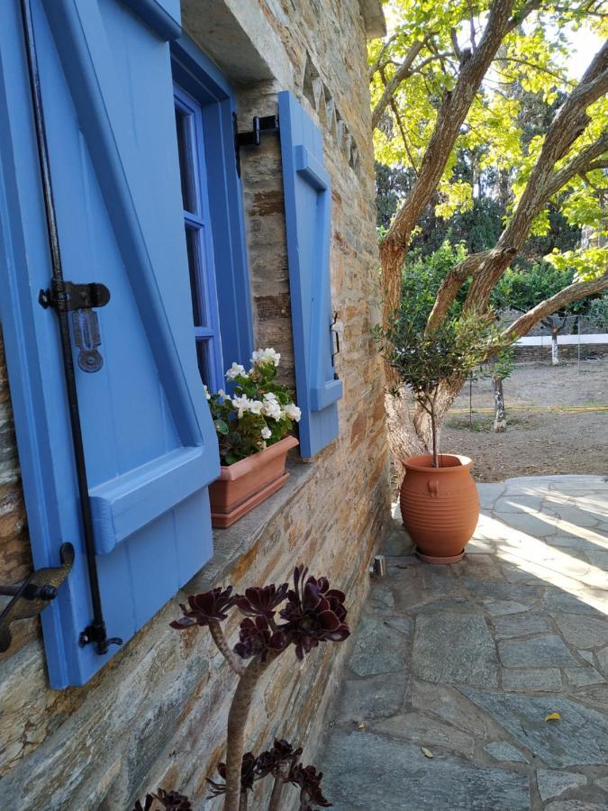 Saint Louis Aparthotel Andros Town Exterior photo